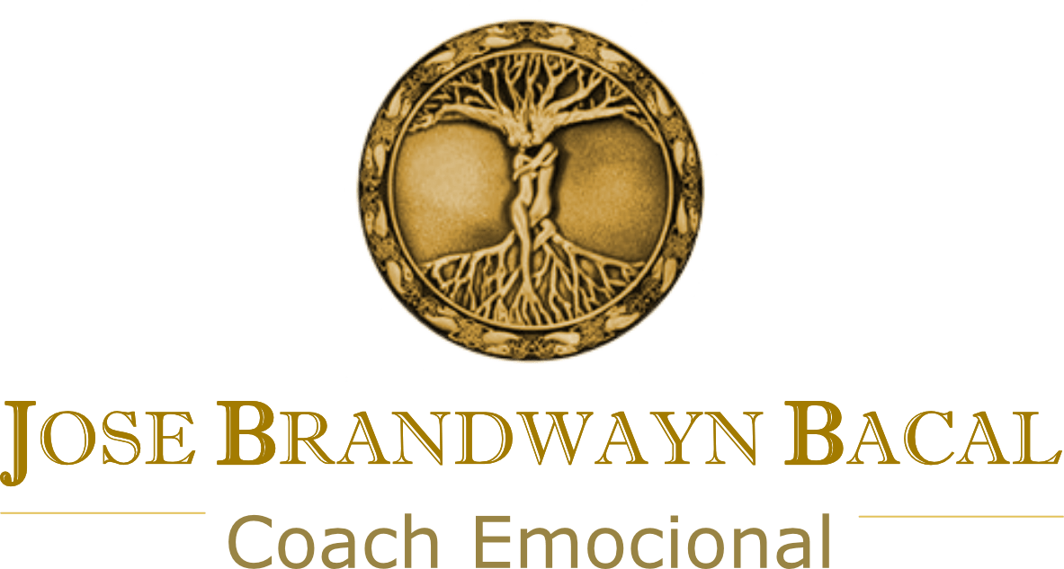 Logo Jose Brandwayn Bacal_web